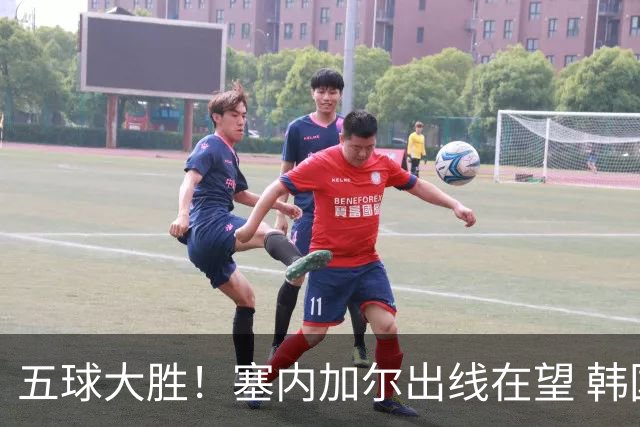五球大胜！塞内加尔出线在望 韩国晋级仅剩理论希望
