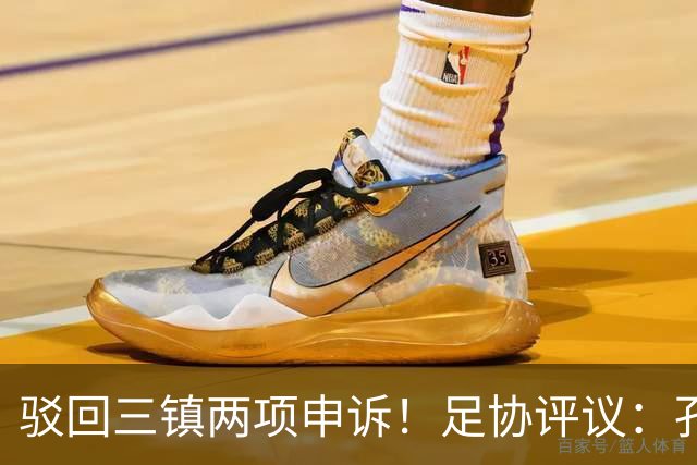 驳回三镇两项申诉！足协评议：孔特手球因意外折射，不判点球正确